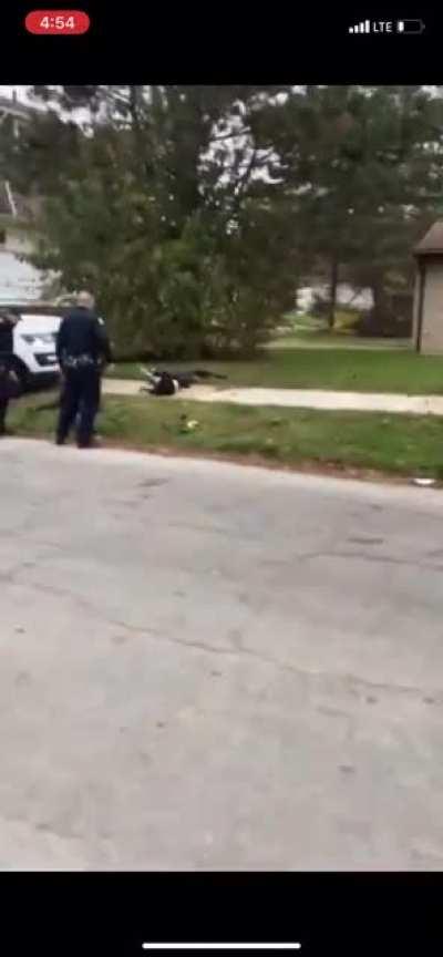 Cop euthanizes 3 dogs attacking an old man