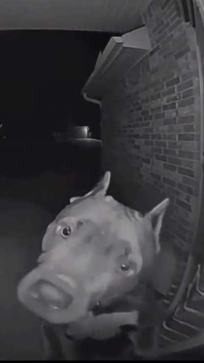 Didn't find any kids on the streets. Do youhave any?