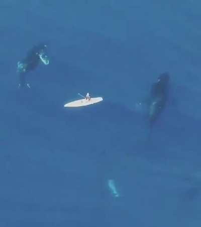 What lies beneath...