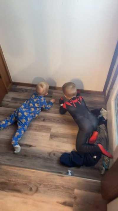 The Boys found the best spot in the house.