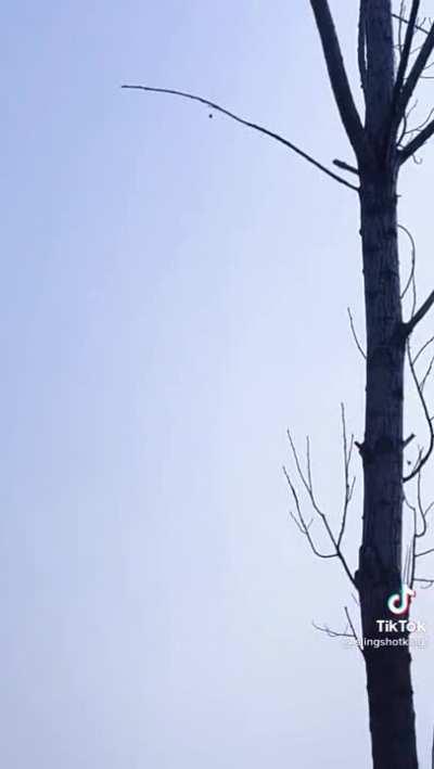 I thought you guys would appreciate this