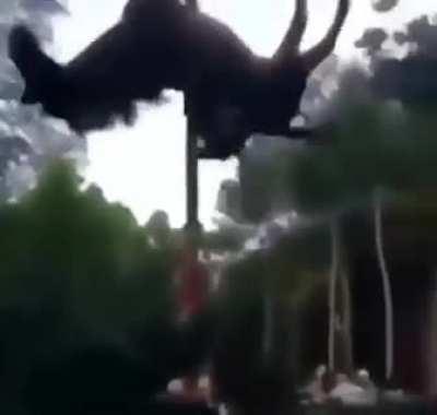 why was this mark in their new video