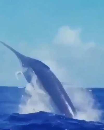 What should we call this? Suggest in comments.