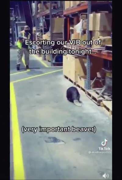 When the PAs are escorting me out after I said “no, you” to a safety ambassador who’s yelling 6 ft