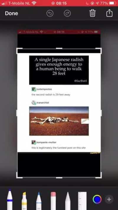 how to make any tumblr post funnier