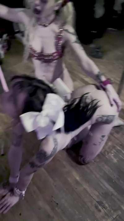 keep ur kitty on a leash