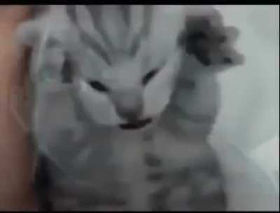 When the Gacha rate is 1%