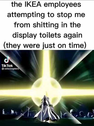 Shitting in display toilets