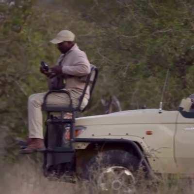 🔥 Photographer captures the moment a lion sneaks up on a safari group