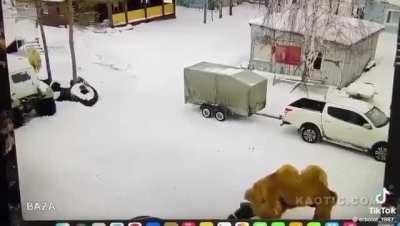 I call the big one Bitey