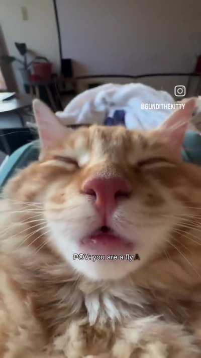 Pov you're a small wunker 