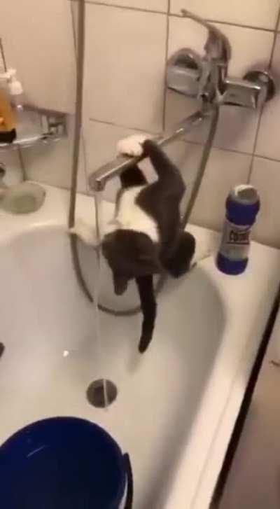 One must learn not to live on the edge