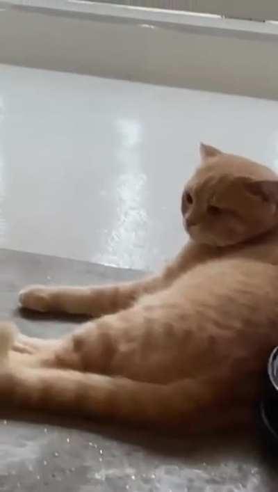 You say this is vacuum, I say this is free massage