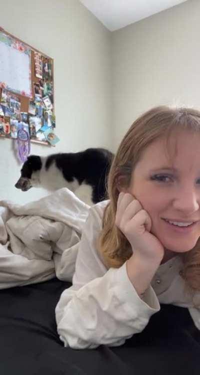 Puppies will be puppies, I guess?