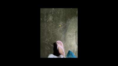 The bug crushing challenge PMV