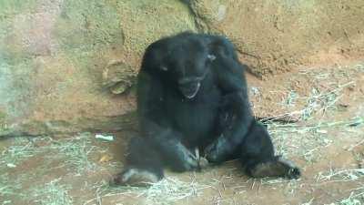 The most cursed thing I have ever seen.