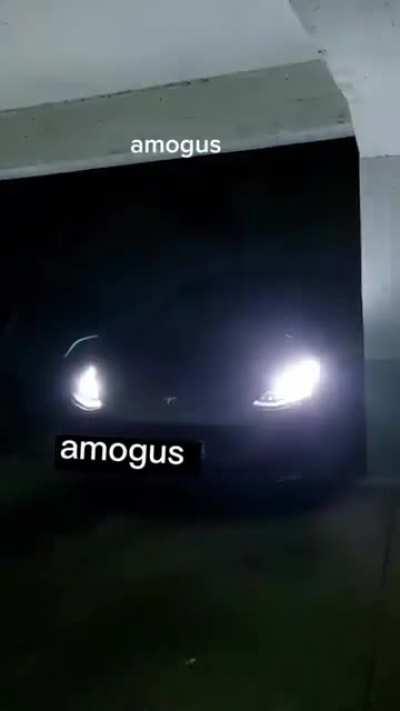 Amogus