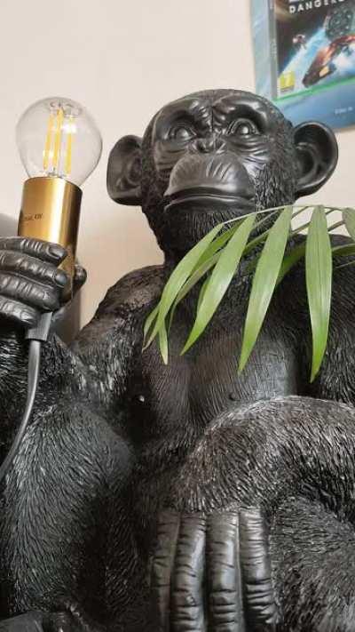 Time lapse of my monkey lamp