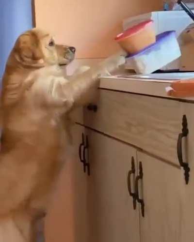 The theft didn't go according to plan.