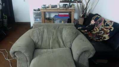 Goth insect crawls out of hole in boglim's throne