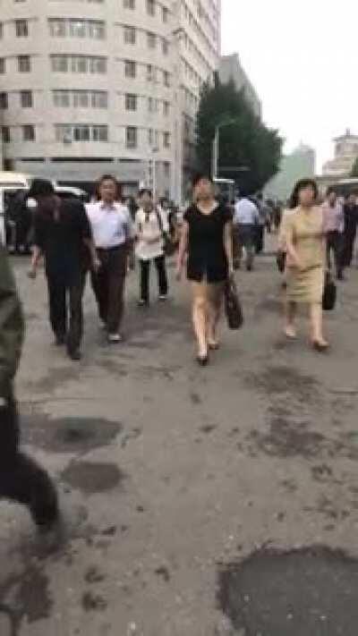 社会主义草，社会主义草