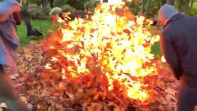 Burning leaves with gasoline WCGW?