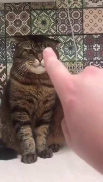 Don't you dare point fingers on me.