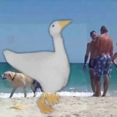 Me dolio la cabeza al hacer esto