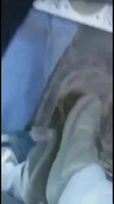 Ali Baba and the 40 Vegetables?