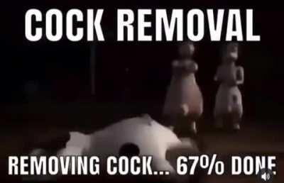 Cockremoval