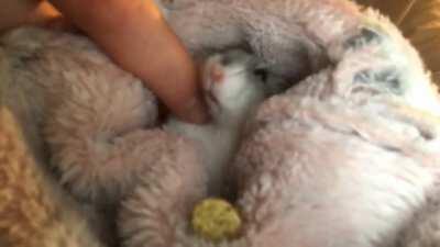 My sweet boy 🥰🥺