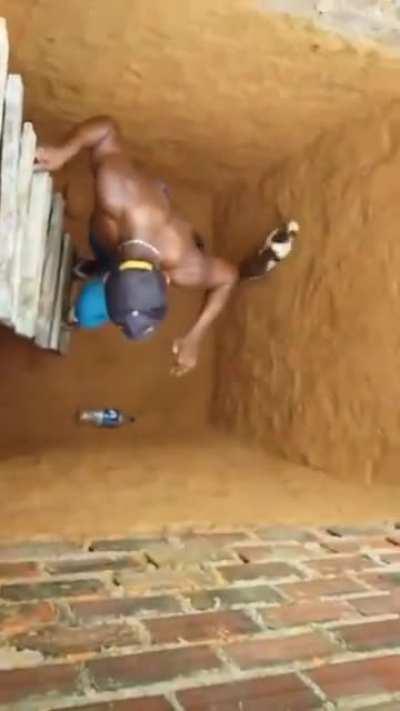 Trying to help a cat