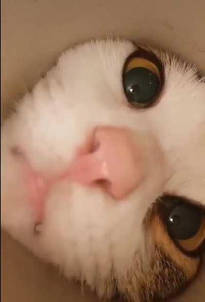 Just in case you had a rough day.