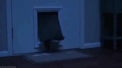 A Quick Easy, and simple commercial!