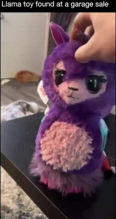 Garage sale finds are the best. 