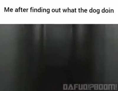 Uh squid games I guess…