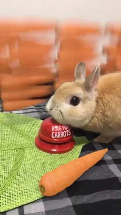 Carrot bell