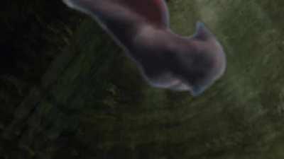 Kratos Falling to The Gutter - Dark Souls 2