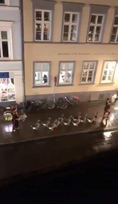 The best kind of marching band