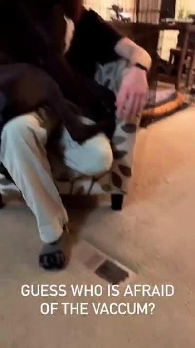 They’re just enormous babies