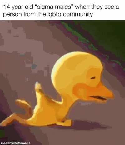 Based on the recent events that happened with Mr beast