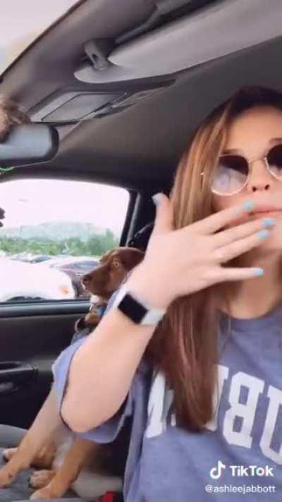 Her dog has seen some shit..