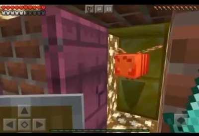 what am I doing here?