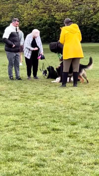 This incident took place yesterday at Kingsbury Roe Green Park, where dogs were engaged in a fight.