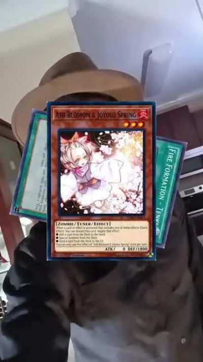 The Ash Blossom baiting experience