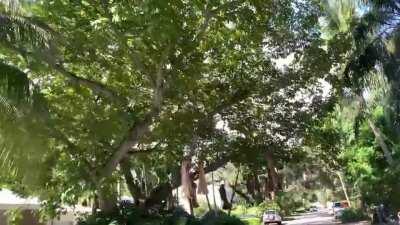 Something seems inappropriate about this Halloween decoration . . .