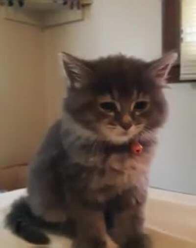 So hard to stay awake