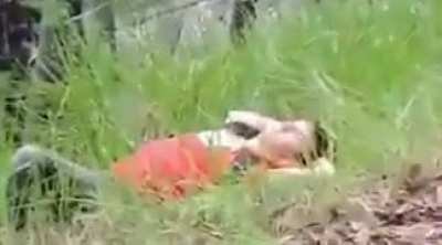 Guy demonstrates to us why you shouldn't recklessly throw large sticks.