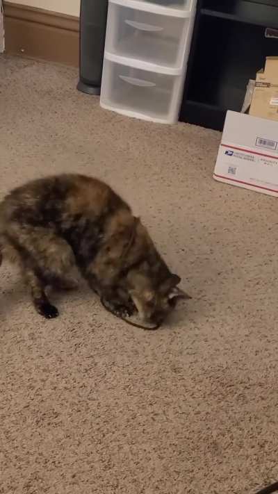 Olive likes to fling her length of string