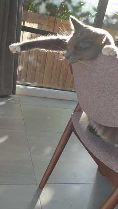 Apparently this is how he sleeps now